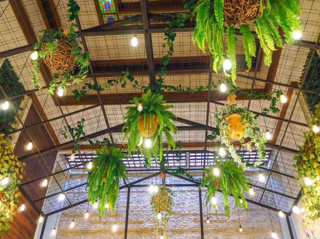 Decorative Lighting