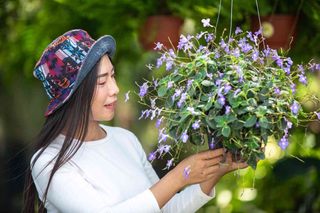 Native Plants as Your Foundation