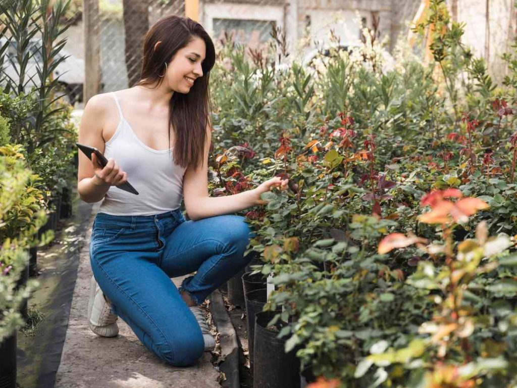 cheap budget small garden idea