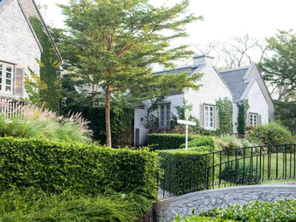 low budget backyard landscaping idea