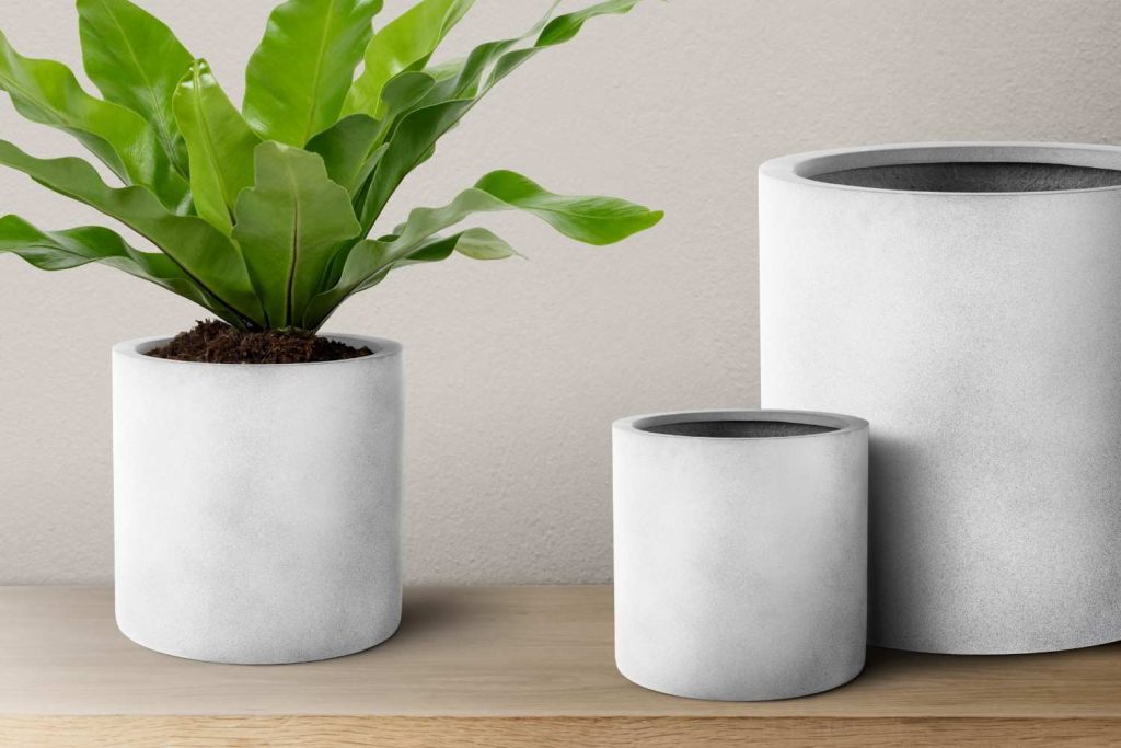 White Pots