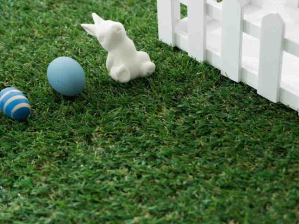 dog friendly grass alternatives