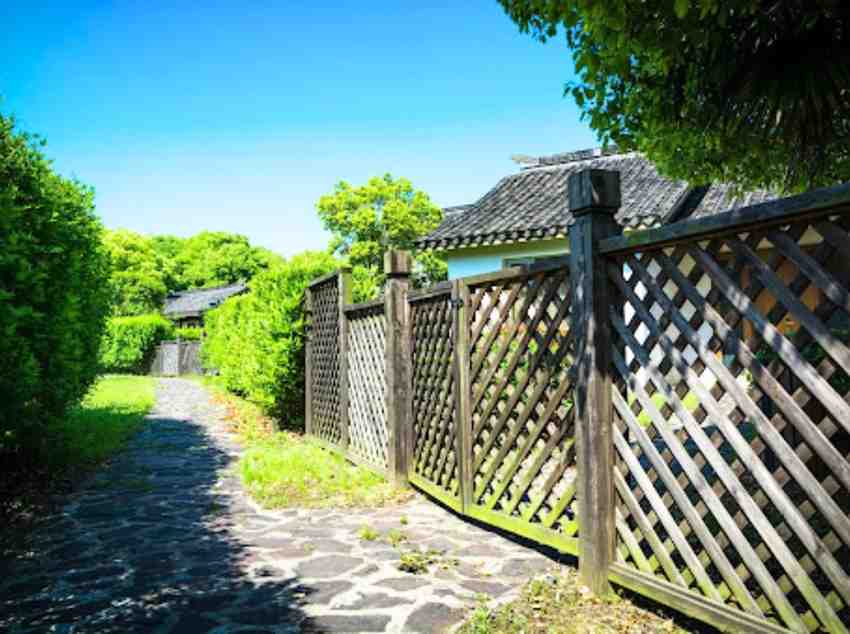 dog friendly mulch alternatives