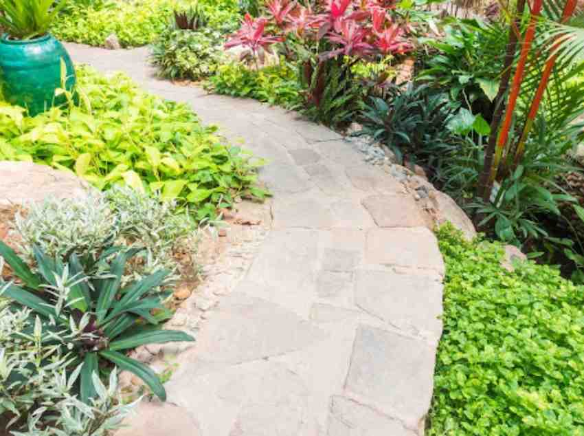 no grass backyard ideas for dog